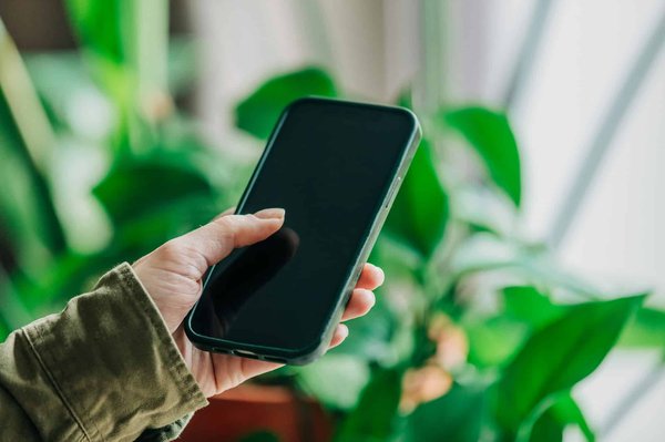 Quel est le meilleur environnement de développement intégré (IDE) pour Python en 2024?